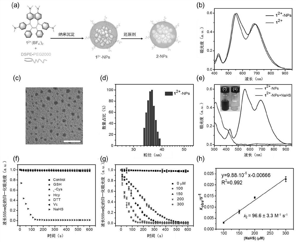 h based on electrochromic materials  <sub>2</sub> s-activated probes and their biological applications