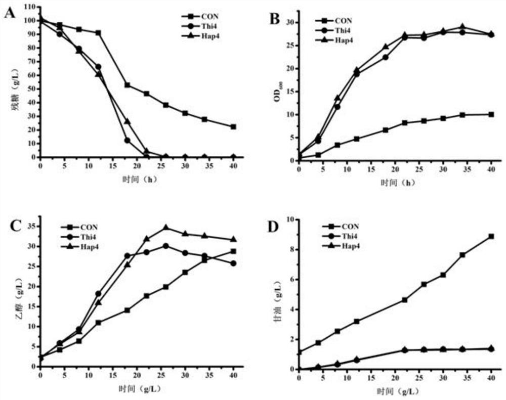 Saccharomyces cerevisiae Genetically Engineered Bacteria Using Glucose Efficiently, Its Construction Method and Application