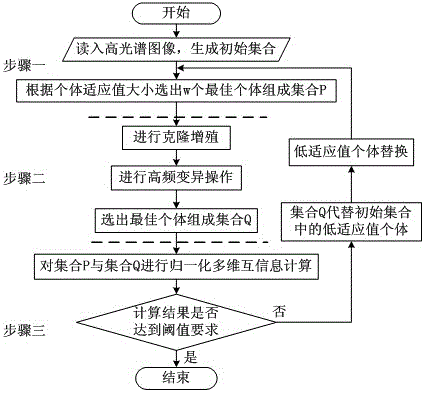 Hyperspectral waveband selection method based on normalization multidimensional mutual information and clonal selection