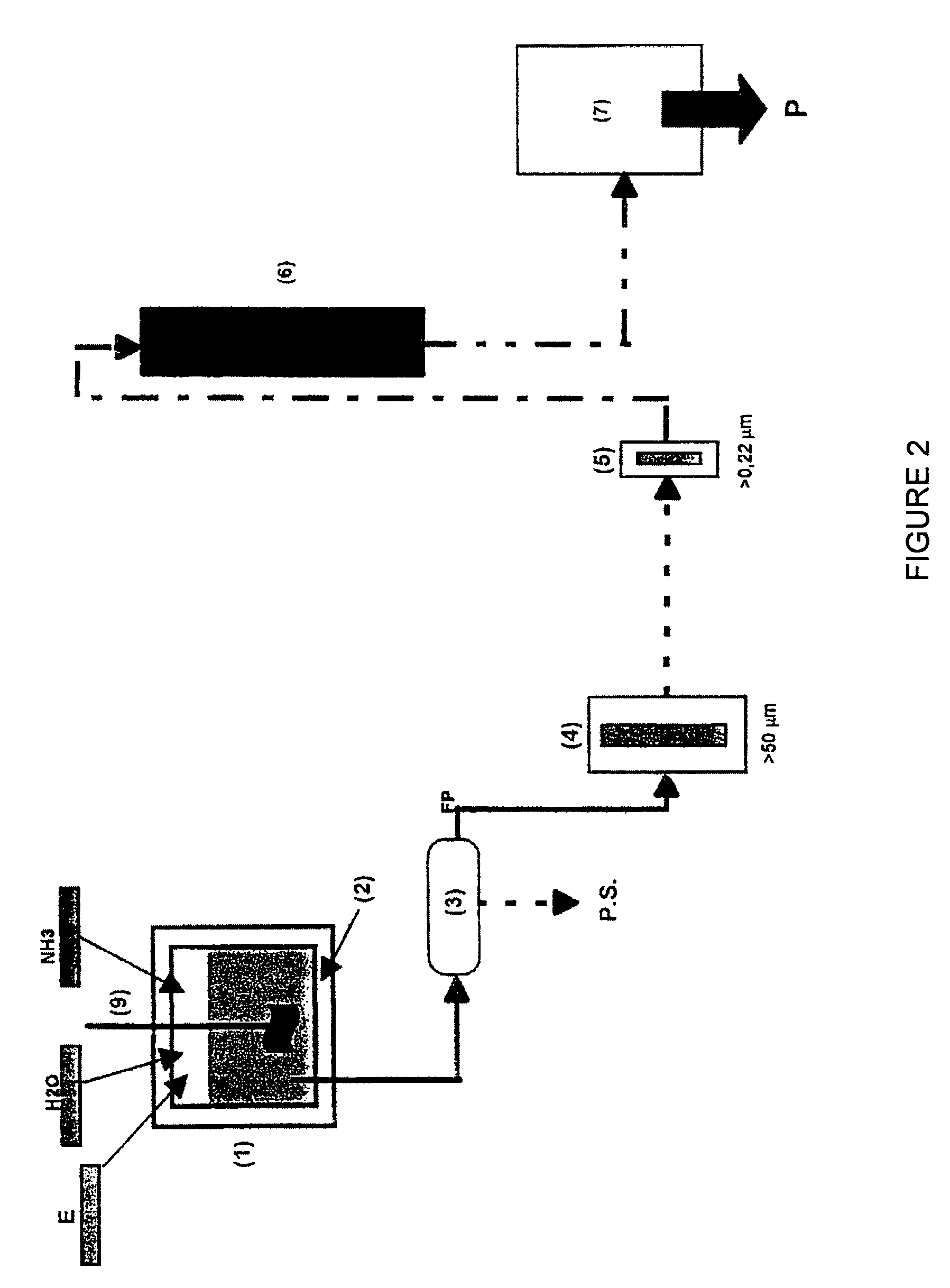 Continuous direct enzymatic protein solubilization process for industrial wastes