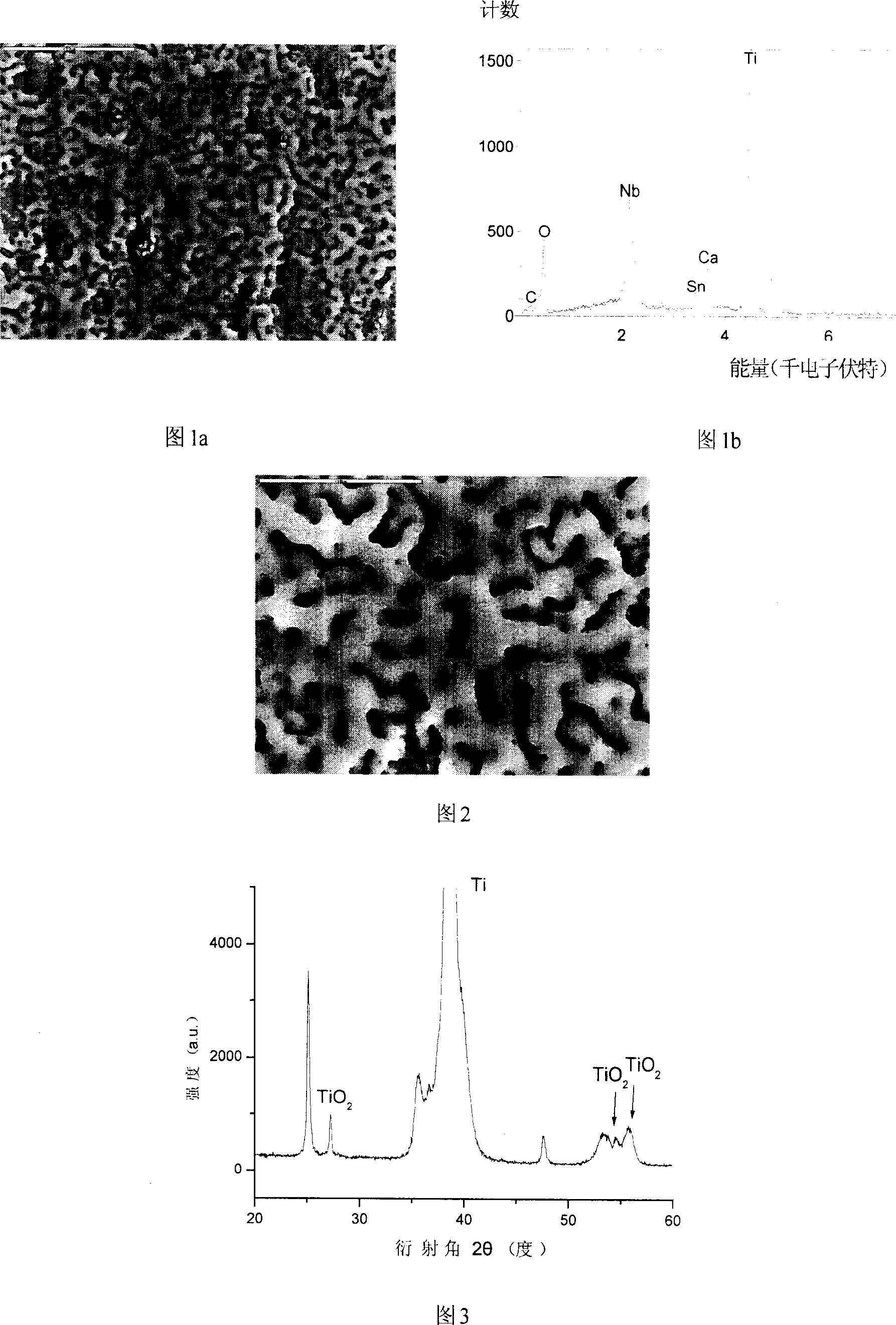 Bioactive coating on surface of Titanium or titanium alloy and its preparing method