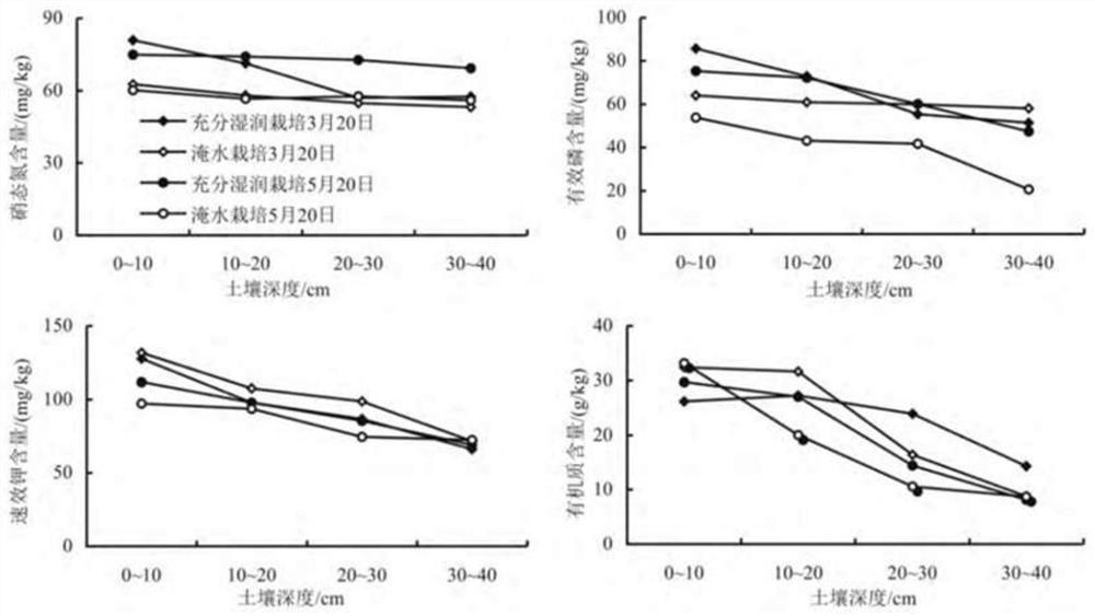 Wet and dry crop rotation method for annual cultivation of vegetables in protected land