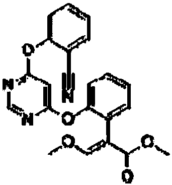 Bactericidal composition containing boscalid and azoxystrobin and application thereof