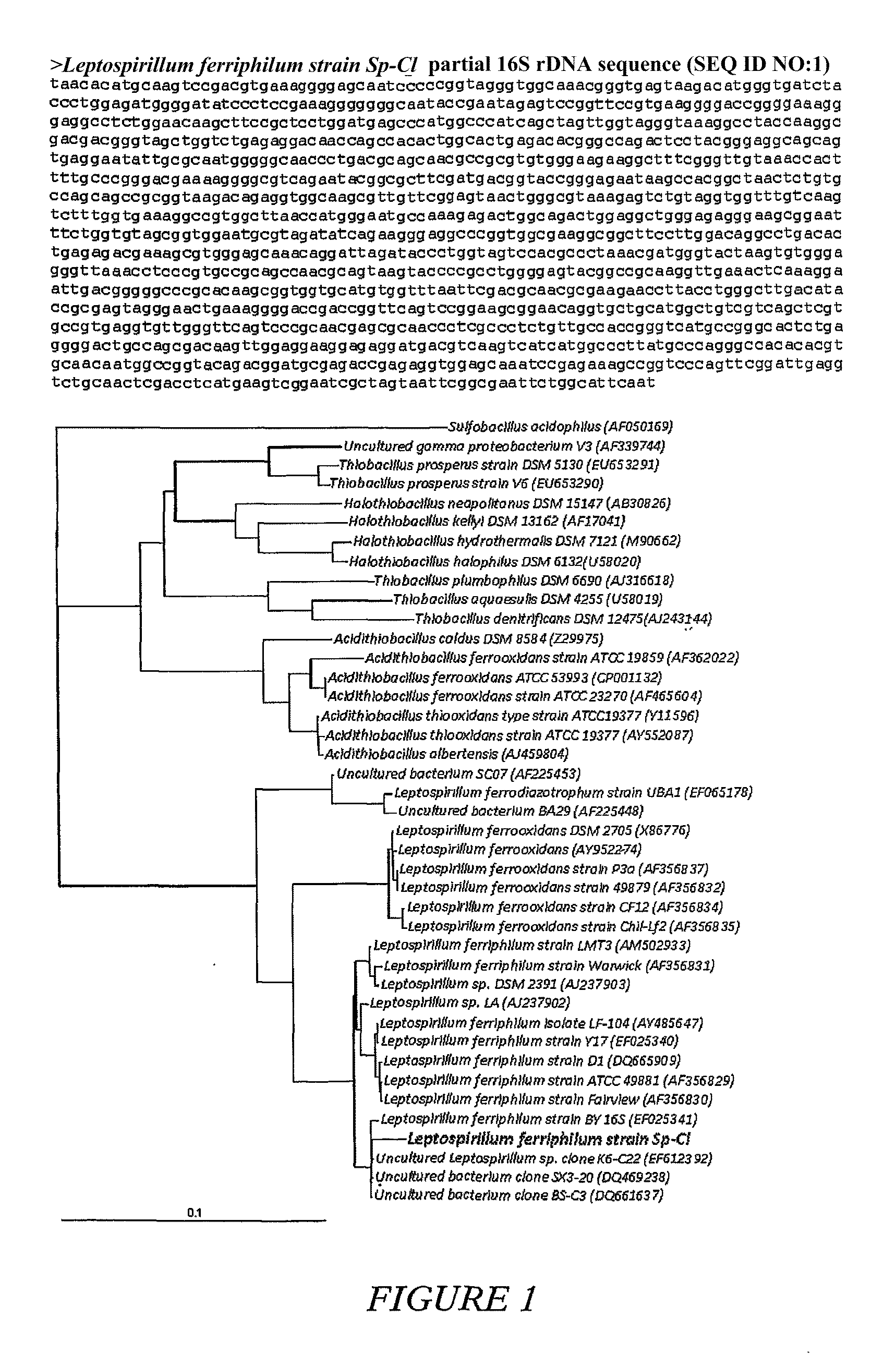 Method of Treating a Sulphide Mineral