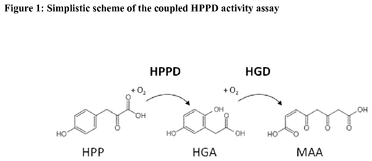 Hppd variants and methods of use