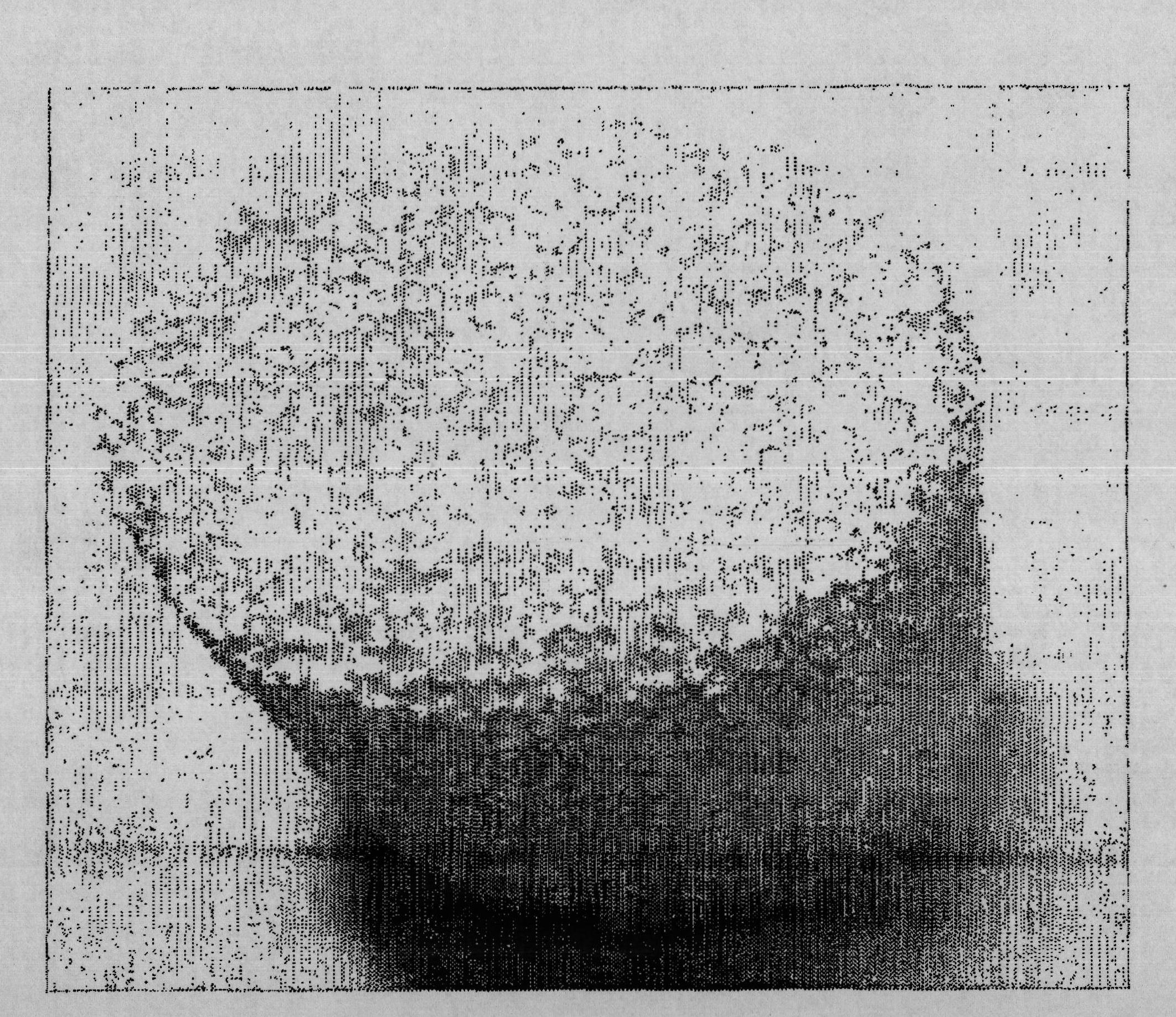 Composite implant having porous structure filled with biodegradable alloy and method of magnesium-based manufacturing the same