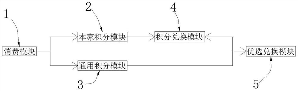 Cross-platform compatible point exchange system and method