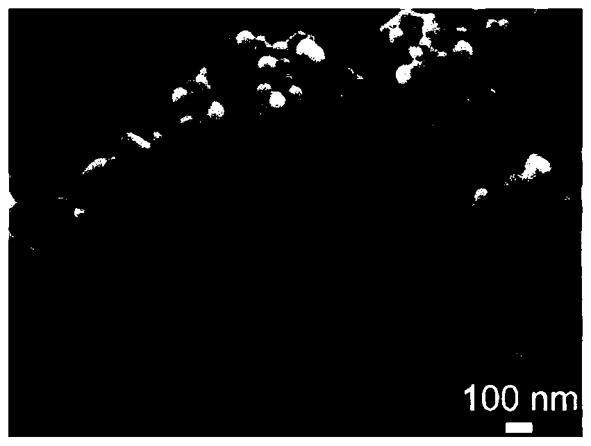 Lithium-sulfur battery positive electrode material and preparation method thereof