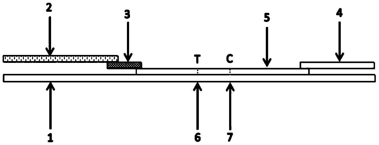 Time-resolved fluorescence immunoassay kit for detecting novel coronavirus and preparation method thereof