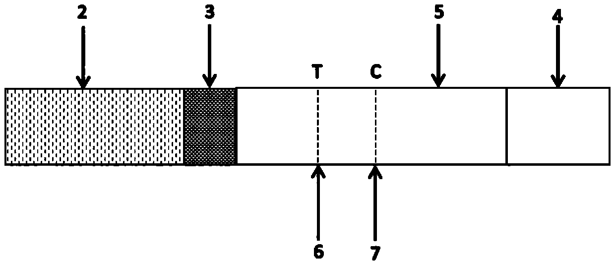 Time-resolved fluorescence immunoassay kit for detecting novel coronavirus and preparation method thereof