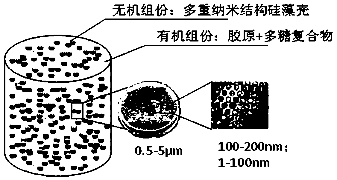 Bionic artificial bone and preparation method thereof