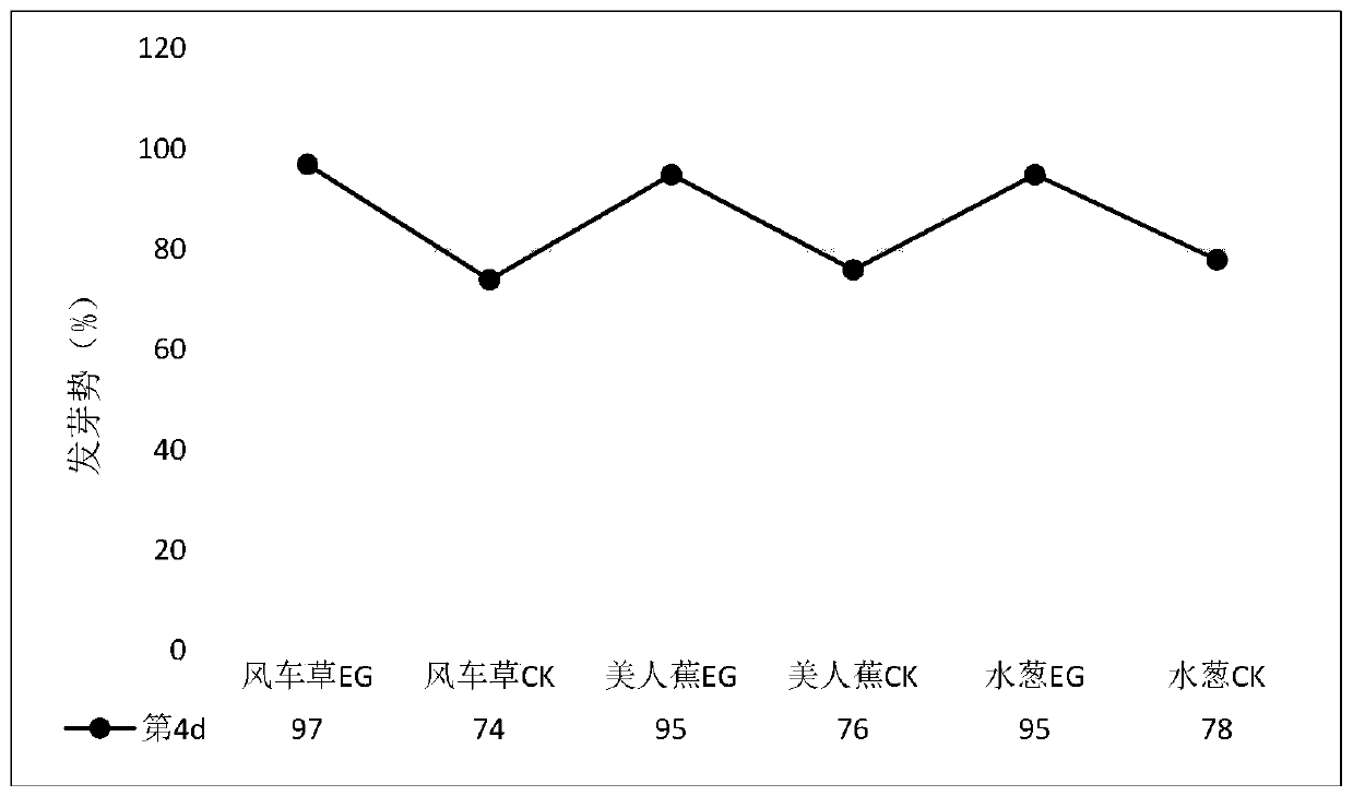 High-efficiency water-purifying plant culturing and growth promoting method