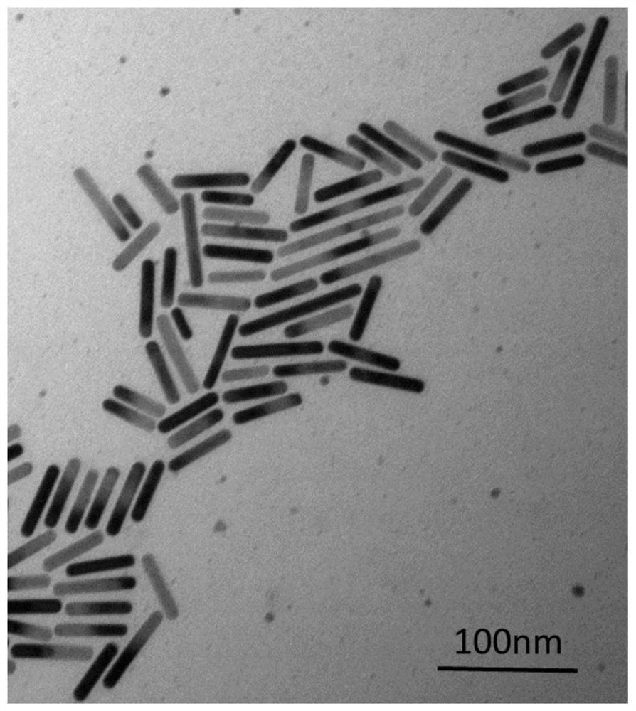 Nanoparticles, preparation method and application thereof, medicament