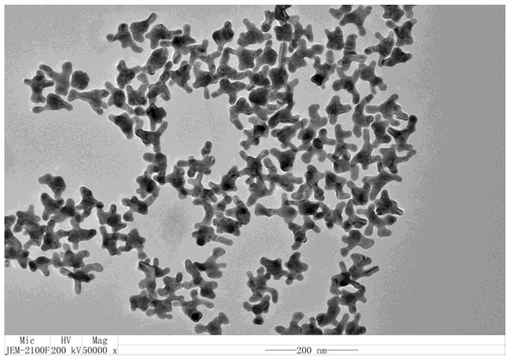 Nanoparticles, preparation method and application thereof, medicament