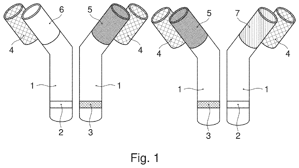 Producing compositions comprising two or more antibodies