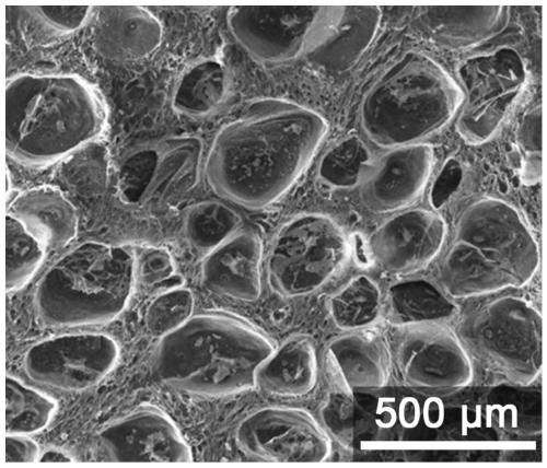 Preparation method and application of high strength and porous structure polyvinyl alcohol-gallotannic acid hydrogel