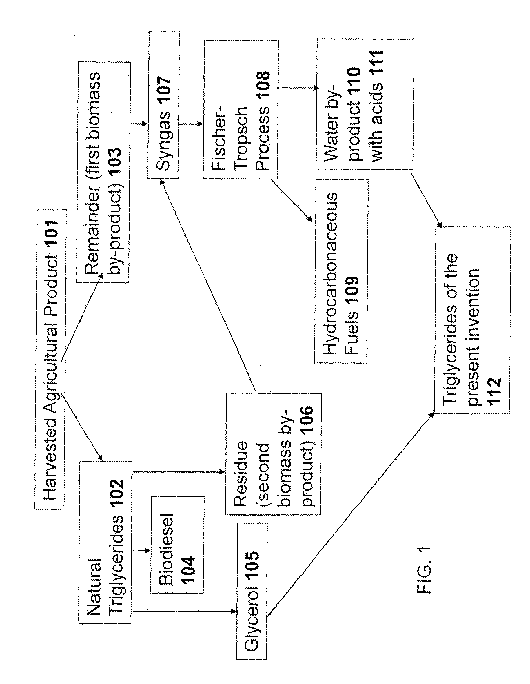 Low Melting Point Triglycerides for Use in Fuels