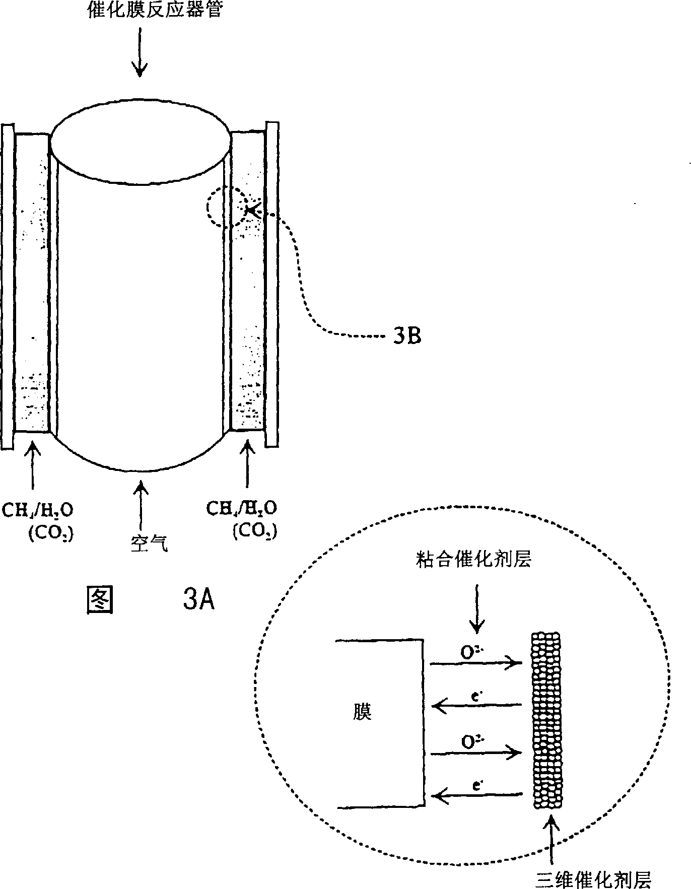 Catalytic membrane reactor with two component three dimensional catalysis