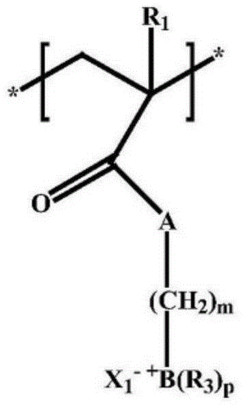 Preparation method and application of polyolefin/nanocrystal cellulose composite diaphragm