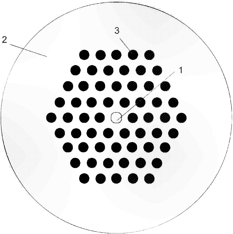 A kind of microstructure cladding single crystal optical fiber and its preparation method