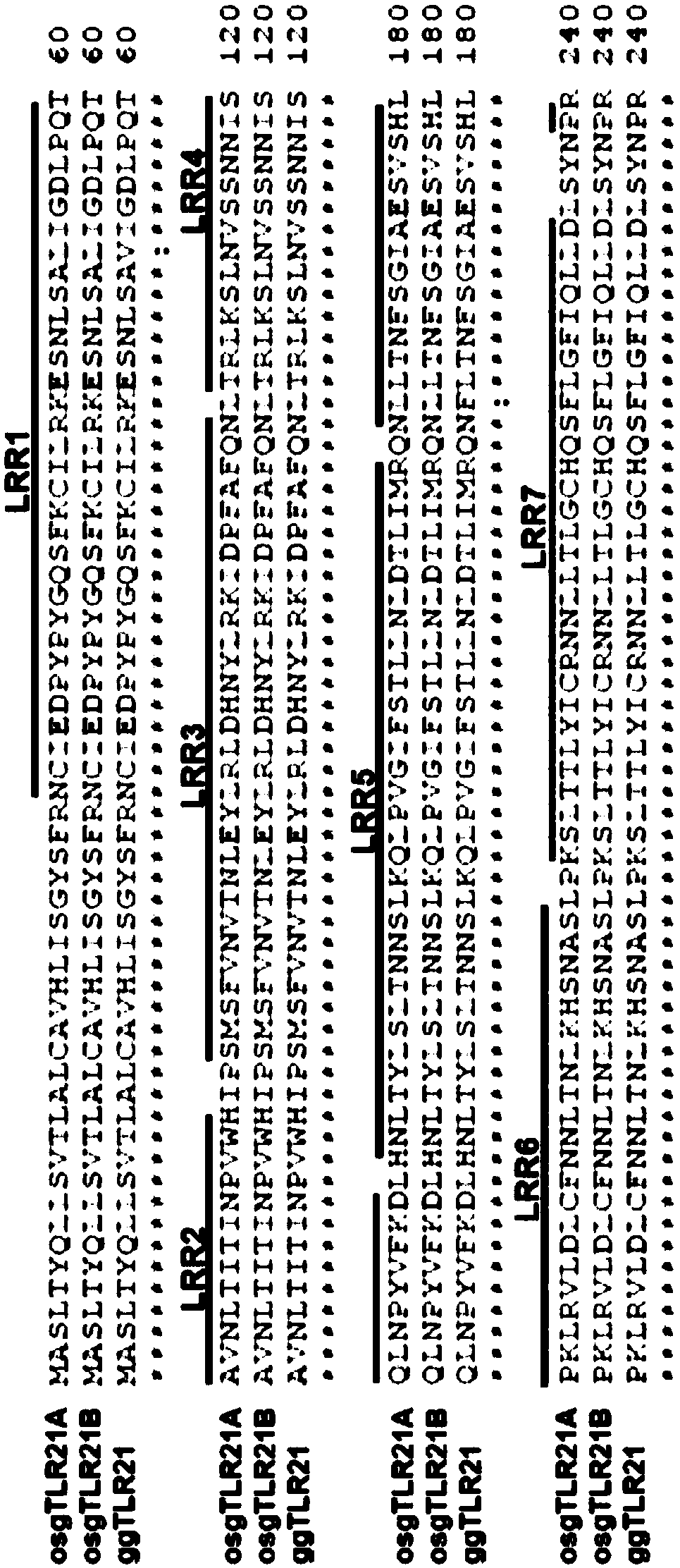 CpG-oligodeoxynucleotide, immunogenic composition, and use thereof