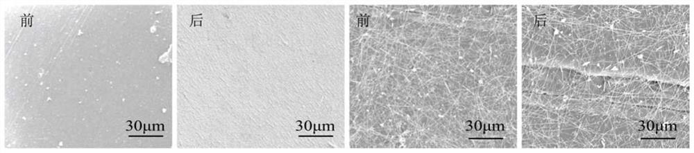 Protein/Polysaccharide Composite Nanofilm and Its Application to Prevent Cracks in Conductive Coatings