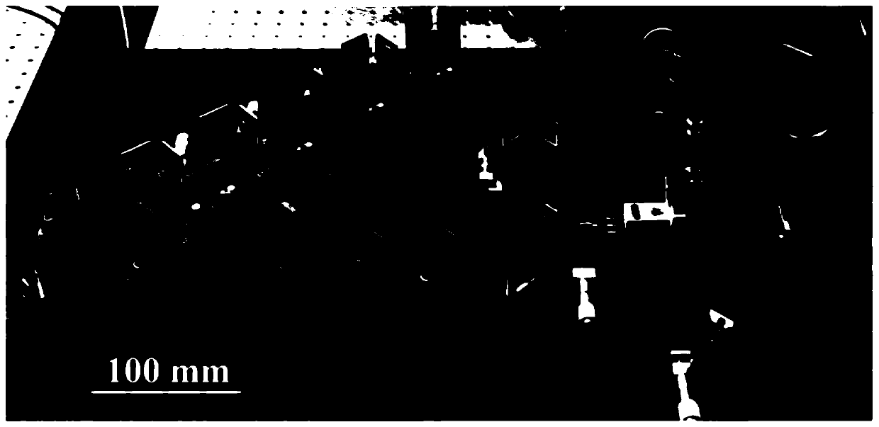 Single-strike sequence holographic imaging system and method