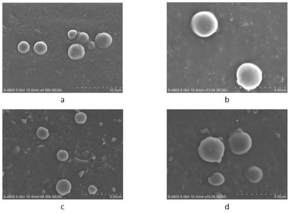 plga/fk506 drug-loaded nano-microspheres and its preparation method and application