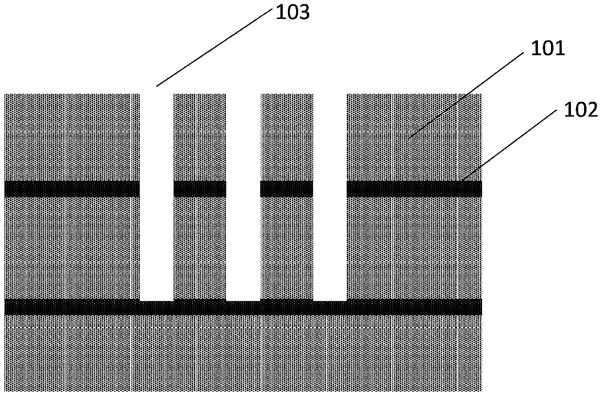 Method for embedding chips into cavities in front and back sides of adapter plate