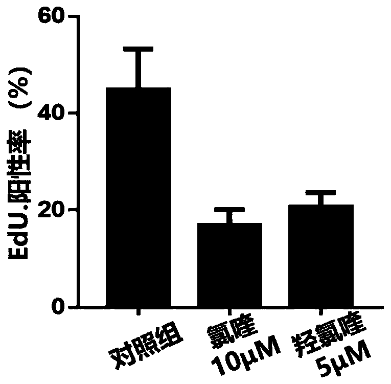 Application of chloroquine or derivative hydroxychloroquine