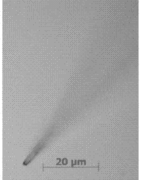 Ultra-trace liquid sample feeding device