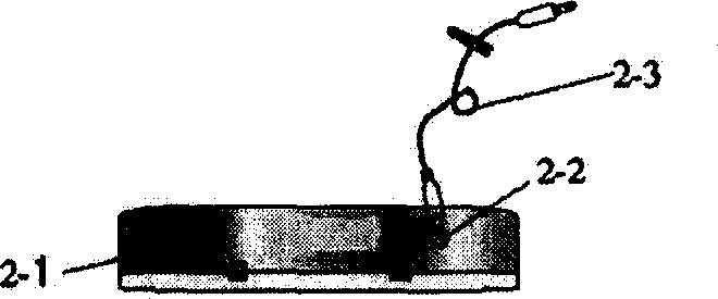 Laser therapeuntic apparatus and method of application