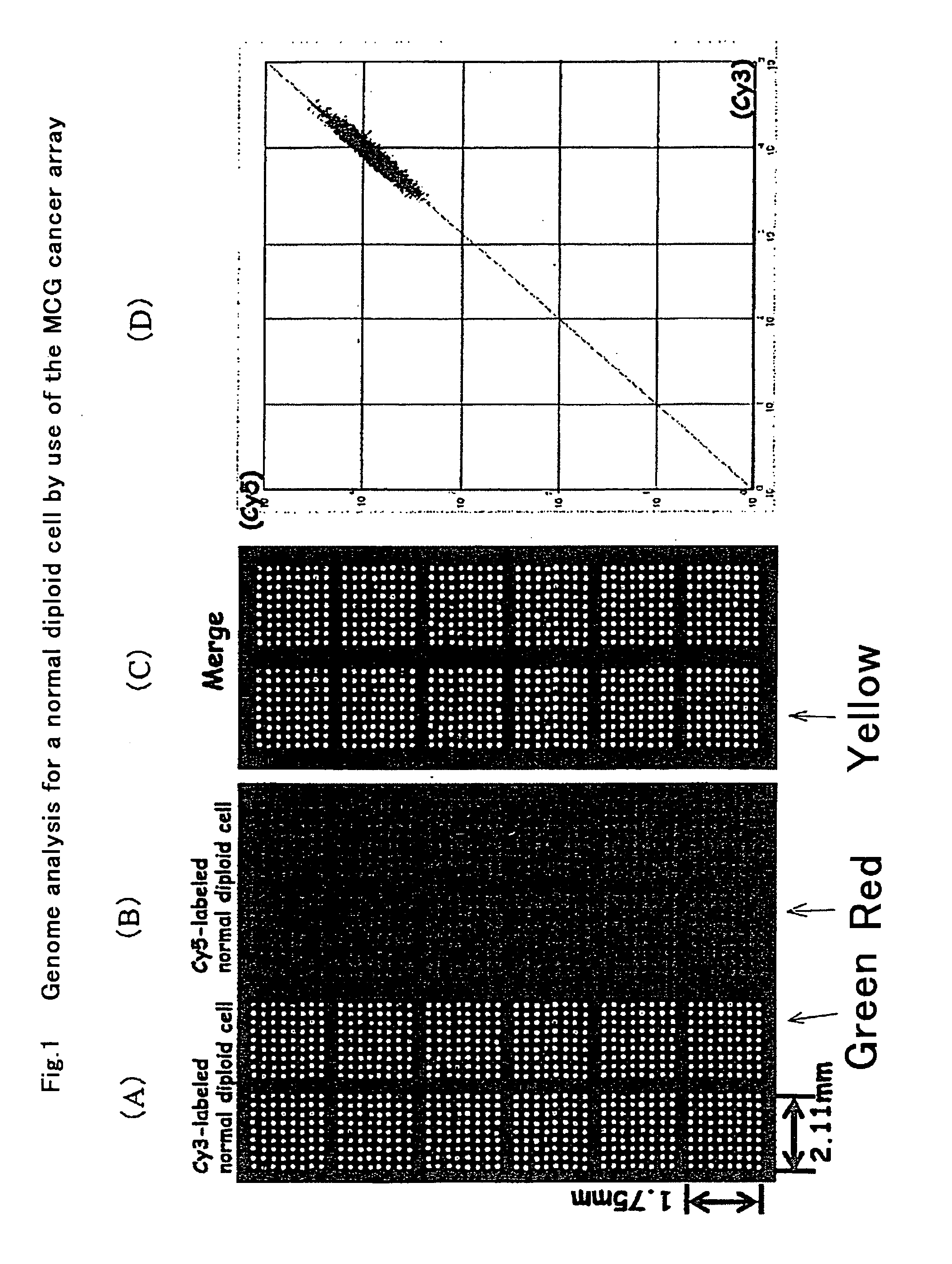 Method for detecting cancer and a method for suppressing cancer