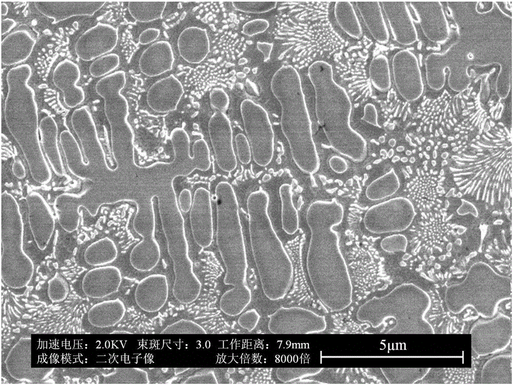 Rare earth magnetic material with magnetic field controlled deformation and preparation method thereof