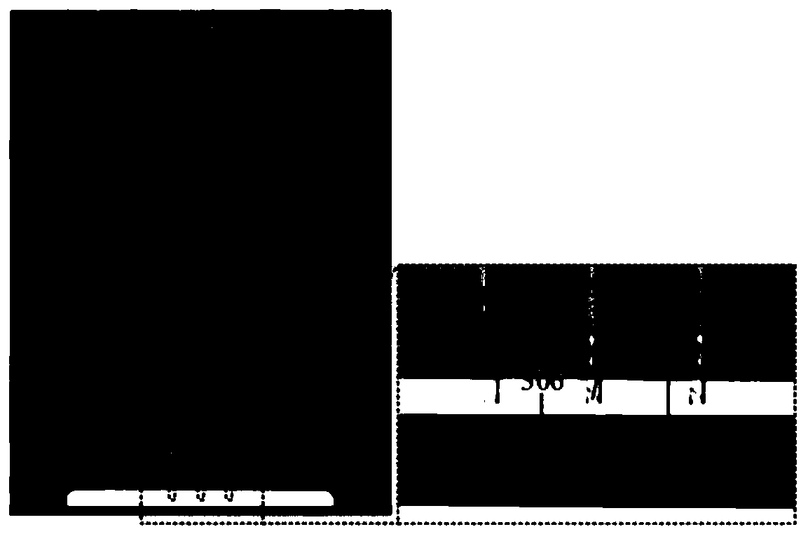 Arrayed electrofluid jet printing head with independently controllable nozzle ejection and its realization method