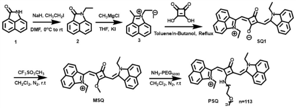 A kind of synthetic method of water-soluble squarylium type near-infrared organic macromolecular photothermal agent with high stability