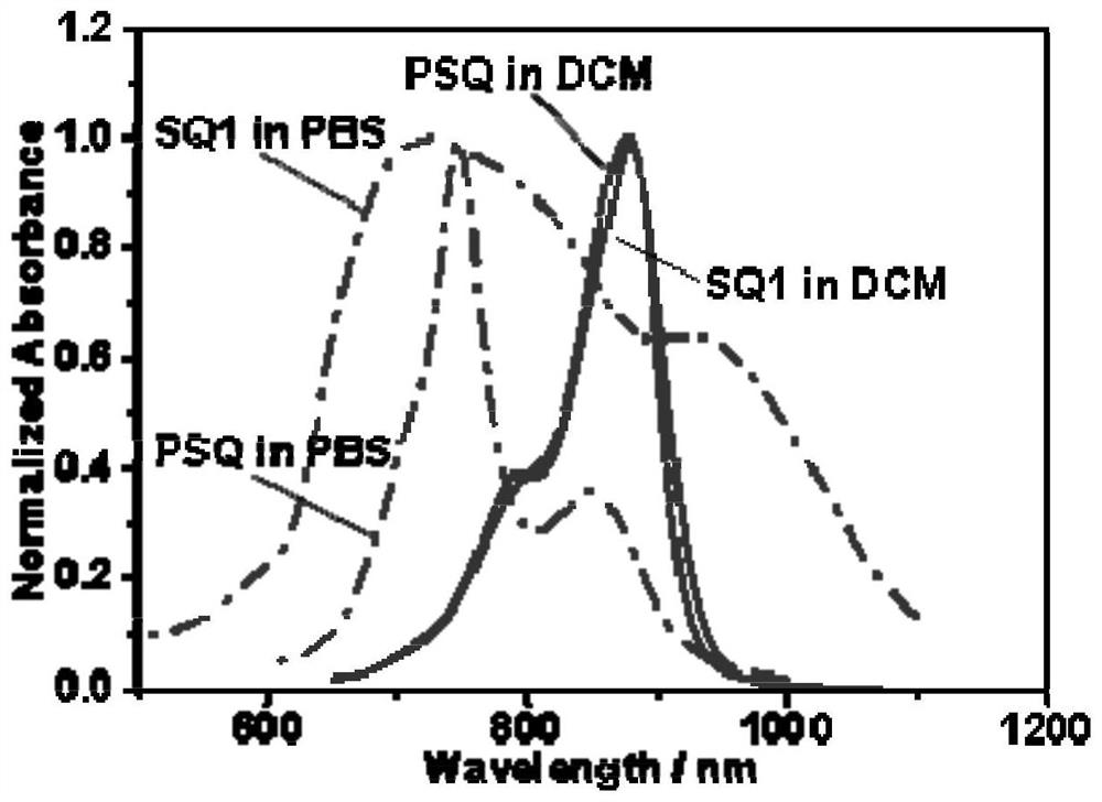 A kind of synthetic method of water-soluble squarylium type near-infrared organic macromolecular photothermal agent with high stability