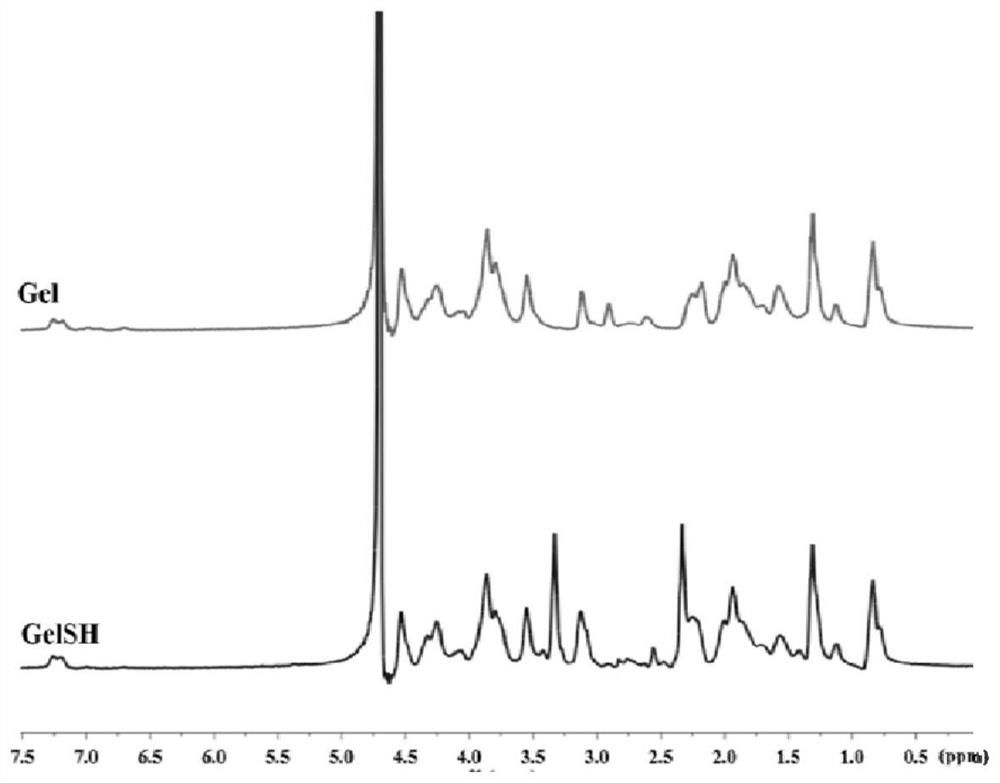 Self-crosslinking hyaluronic acid and gelatin composite hydrogel injection, and preparation method and application of self-crosslinking hyaluronic acid and gelatin composite hydrogel injection