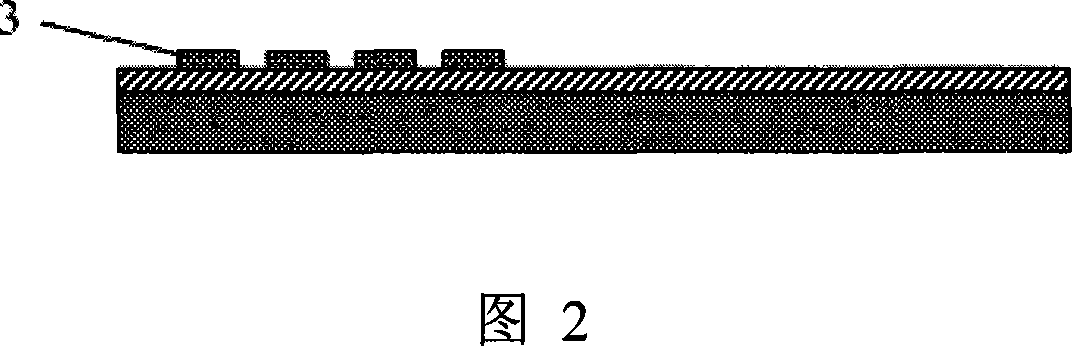 High-purity implanting planar array microelectrode and its production