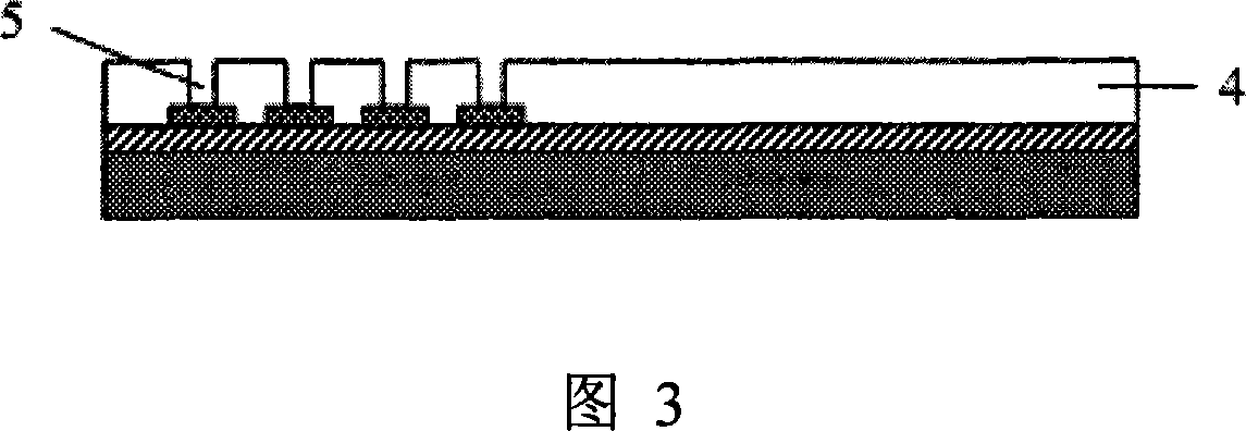 High-purity implanting planar array microelectrode and its production