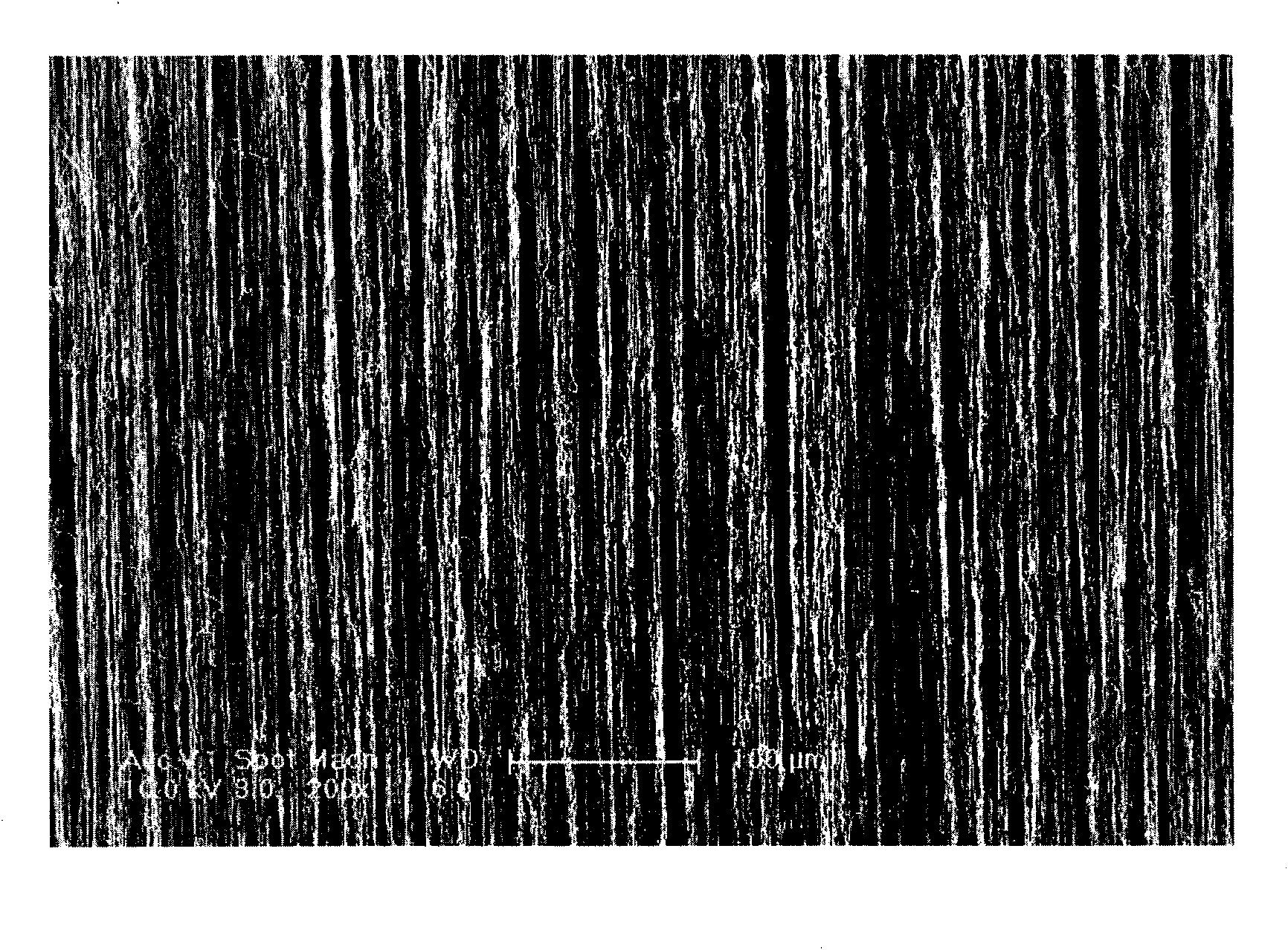 Micro grid of transmission electron microscope and preparation method thereof