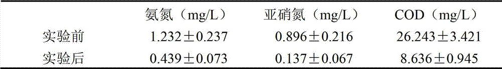 Bacillus cereus and application thereof