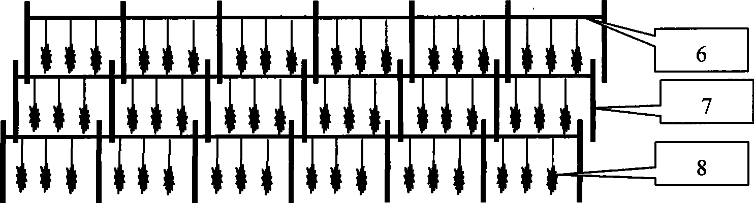 Method for repairing polluted seawater by shellfish-alga composite ecologic system