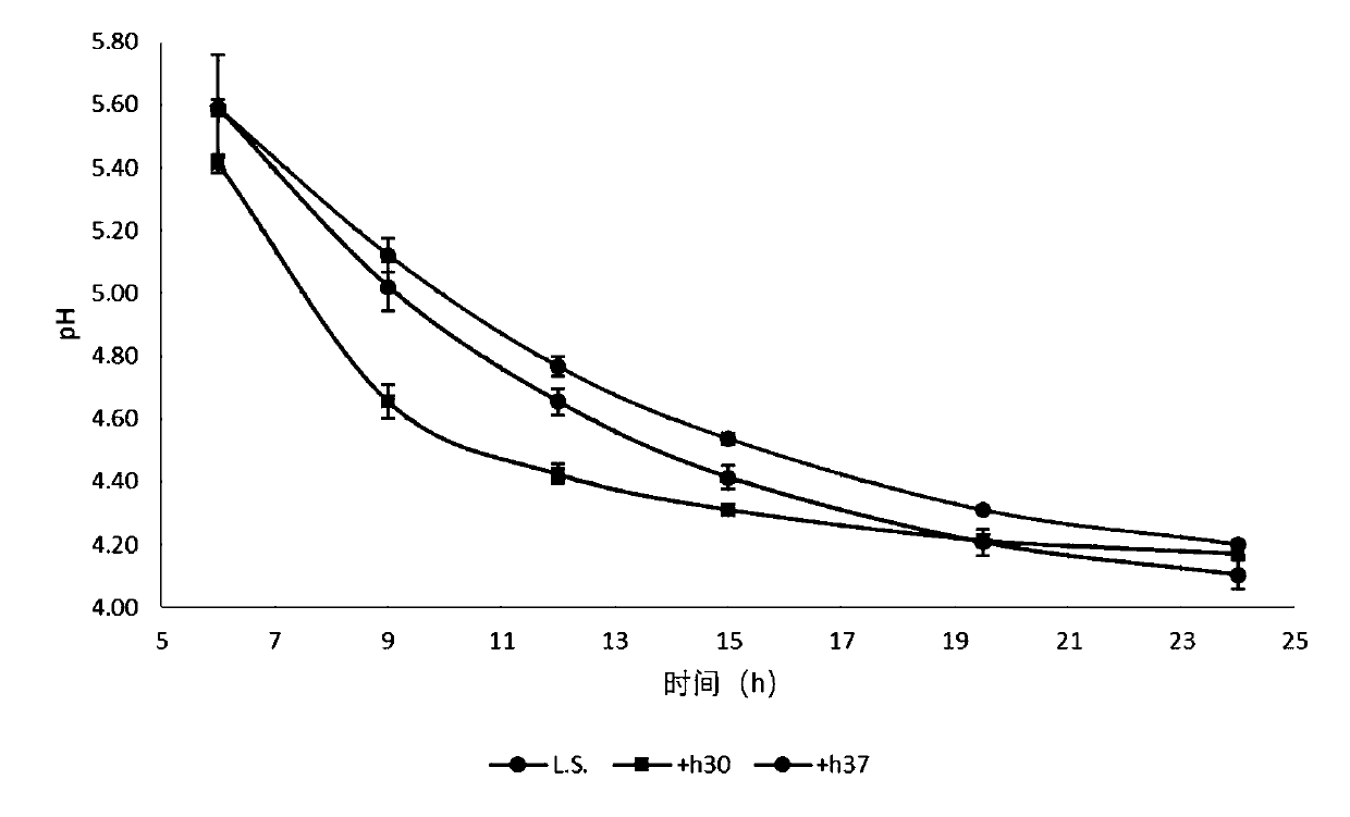 A kind of Lactococcus lactis and application thereof