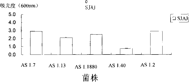 Method for producing mannitol by taking jerusalem artichoke as raw materials through biotransformation