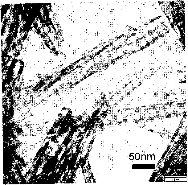 Method for growing ZnS single-crystal nanowire bundle