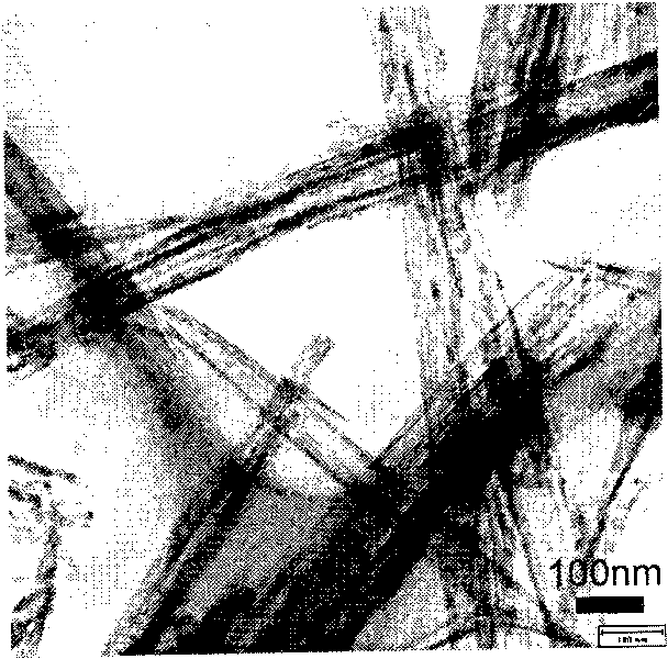 Method for growing ZnS single-crystal nanowire bundle