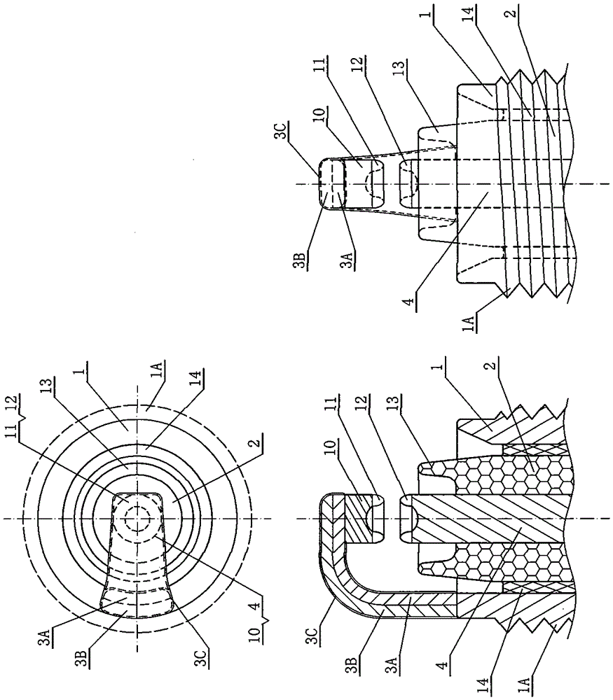 A spark plug and a high voltage ignition wire