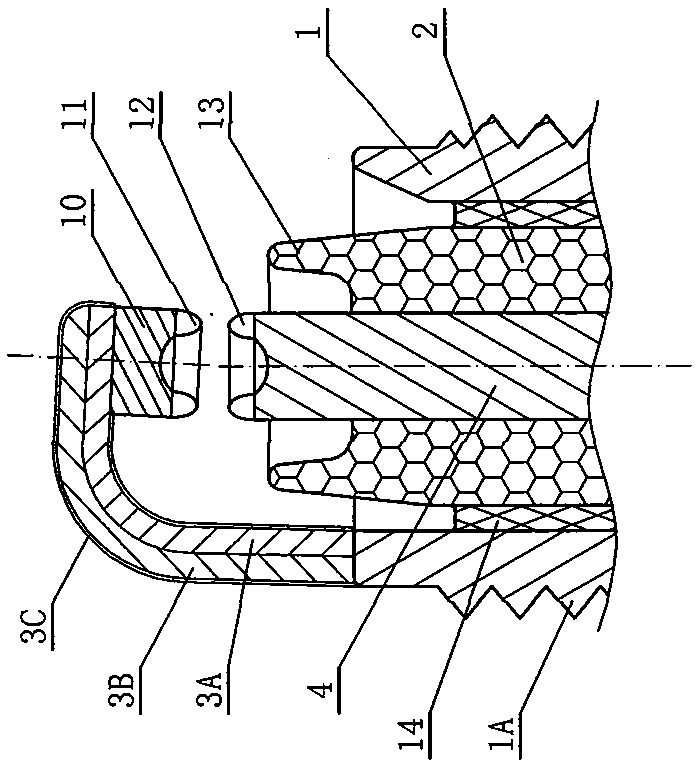 A spark plug and a high voltage ignition wire