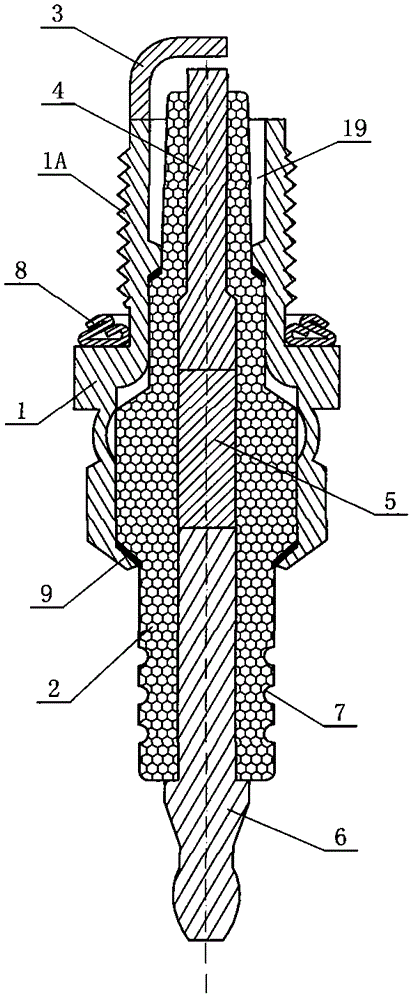 A spark plug and a high voltage ignition wire